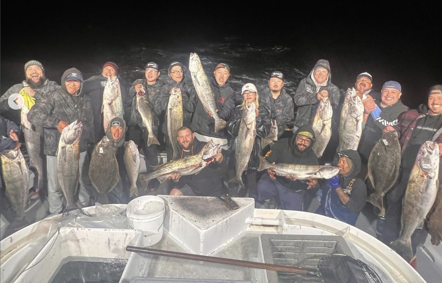 Excellent Seabass and Halibut fishing continues