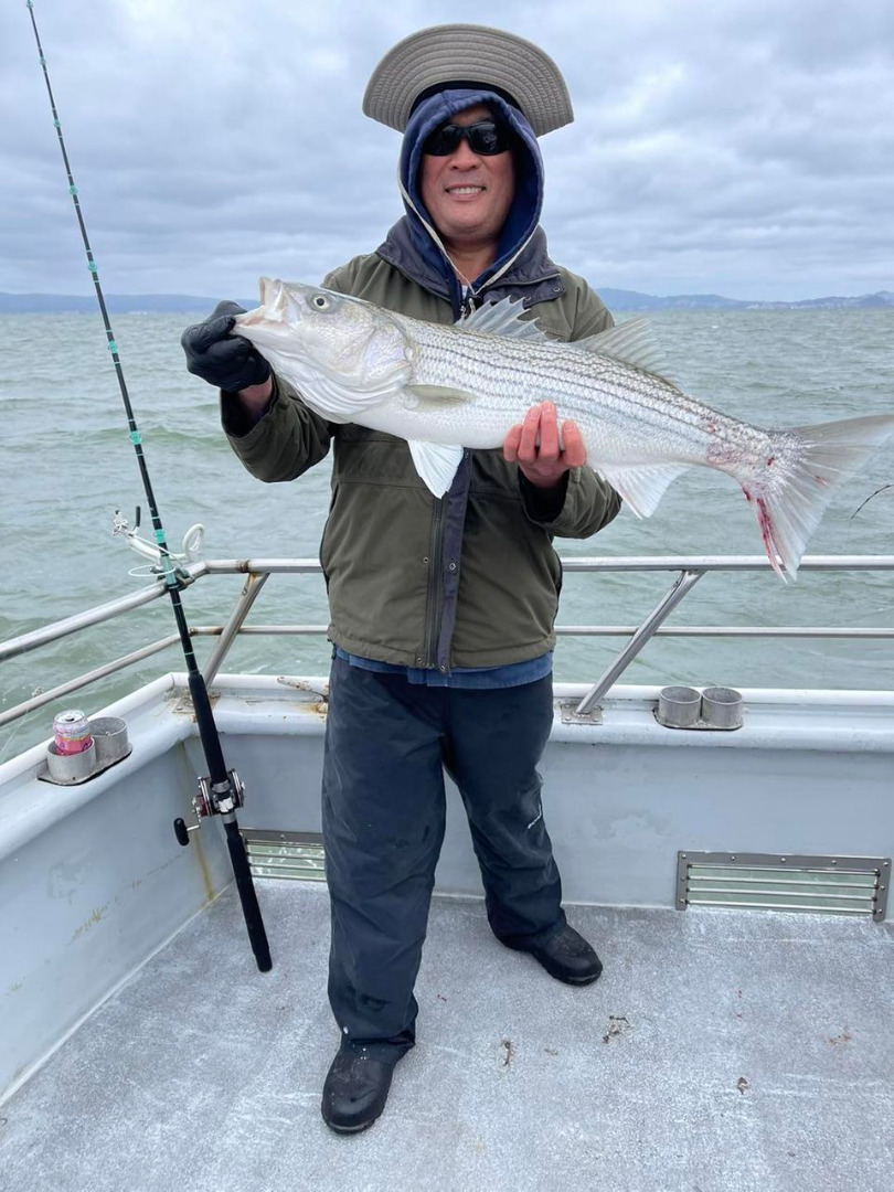 Fishing in the SF Bay continues to be outstanding