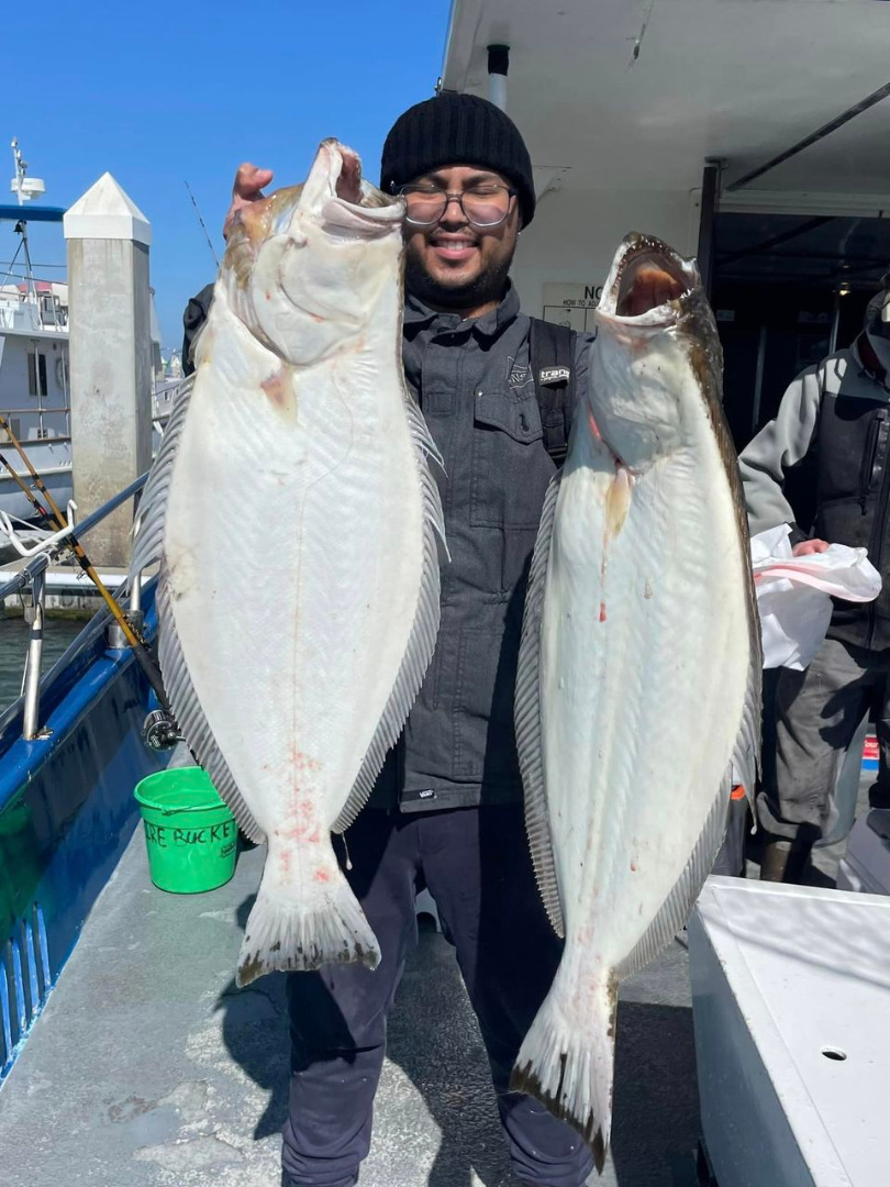 LIMITS of halibut again for our anglers