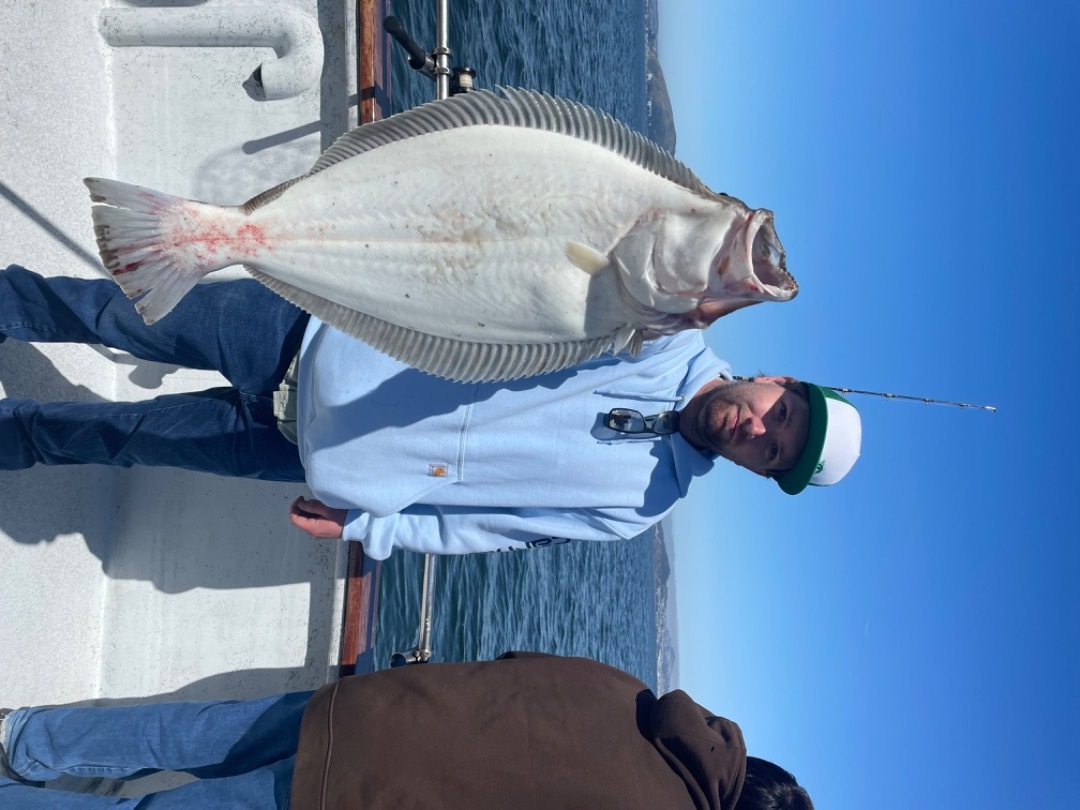 Halibut and Bass