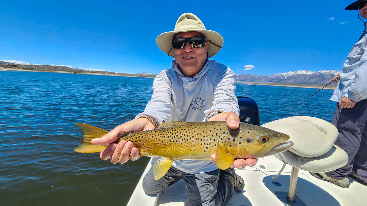 Crowley Lake CA Fall Trout Fishing, Eastern Sierra