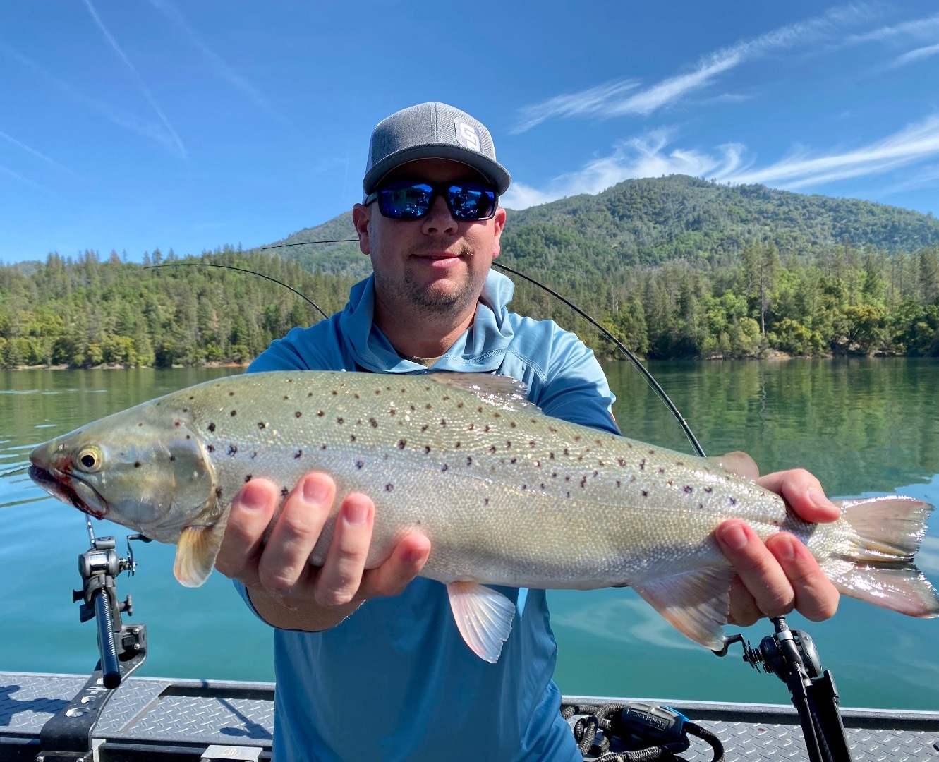 Shasta Lake looks great!