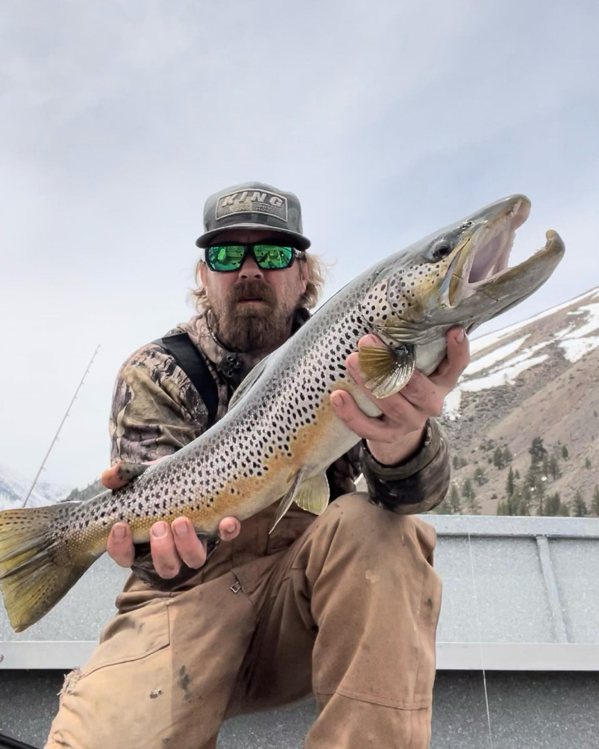 Best Trout Fishing Lakes In The Eastern Sierra Bridgeport Reservoir