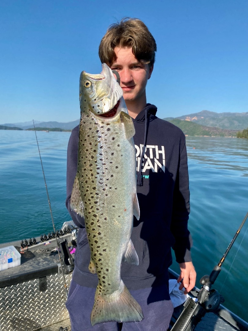 Shasta trout bite hit second gear today!