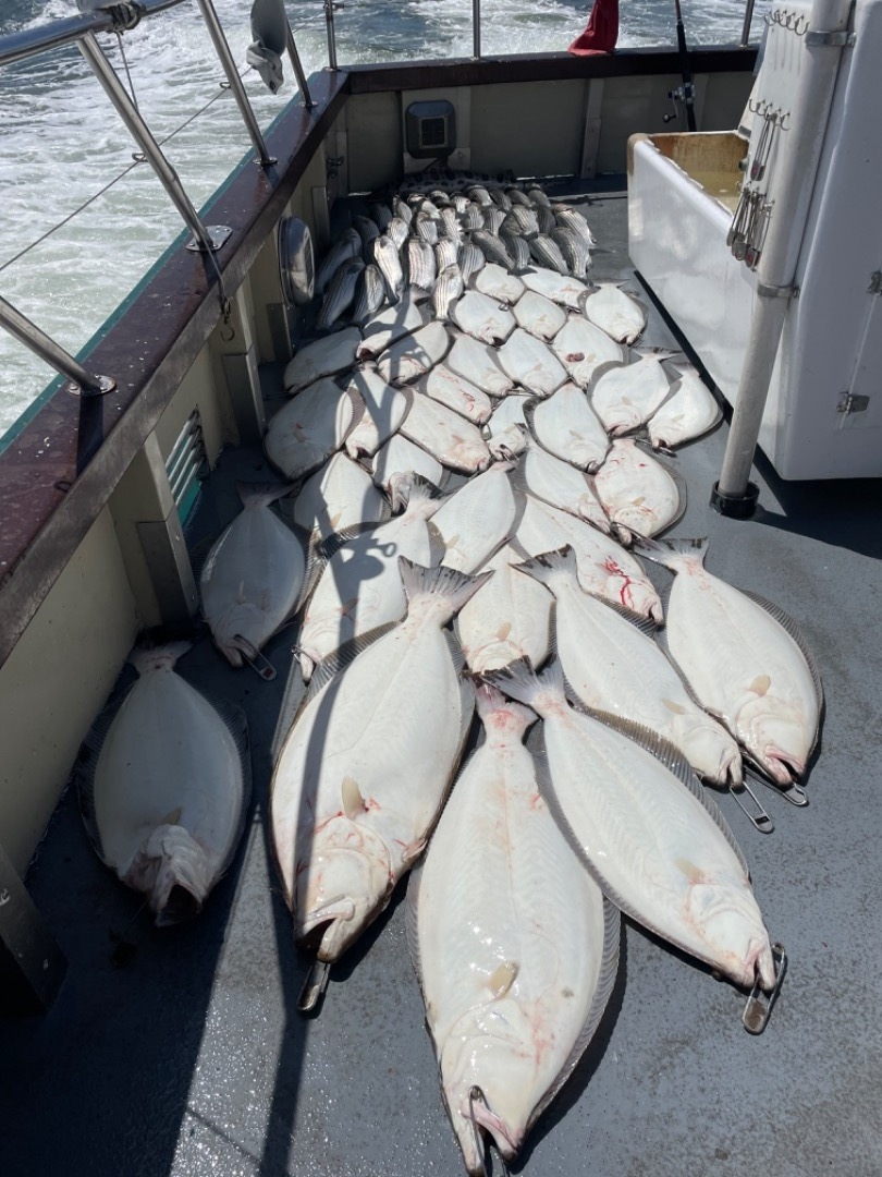 LIMITS OF HALIBUT & BASS BY 11:20am!!!