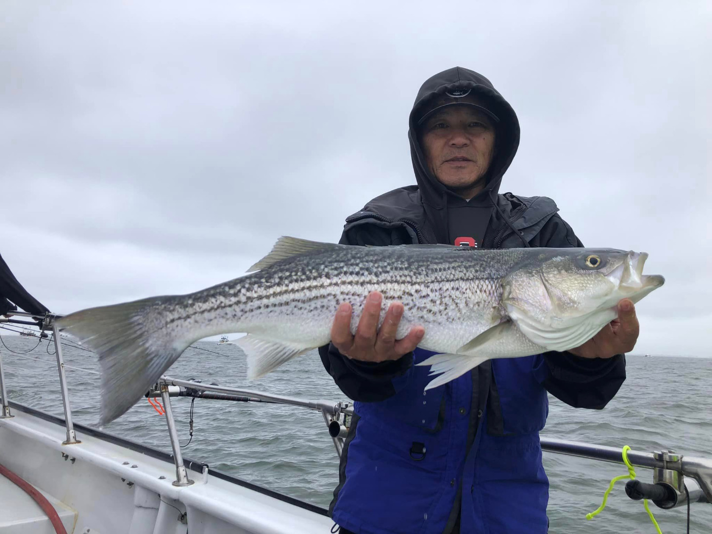 Outstanding striped bass fishing once again