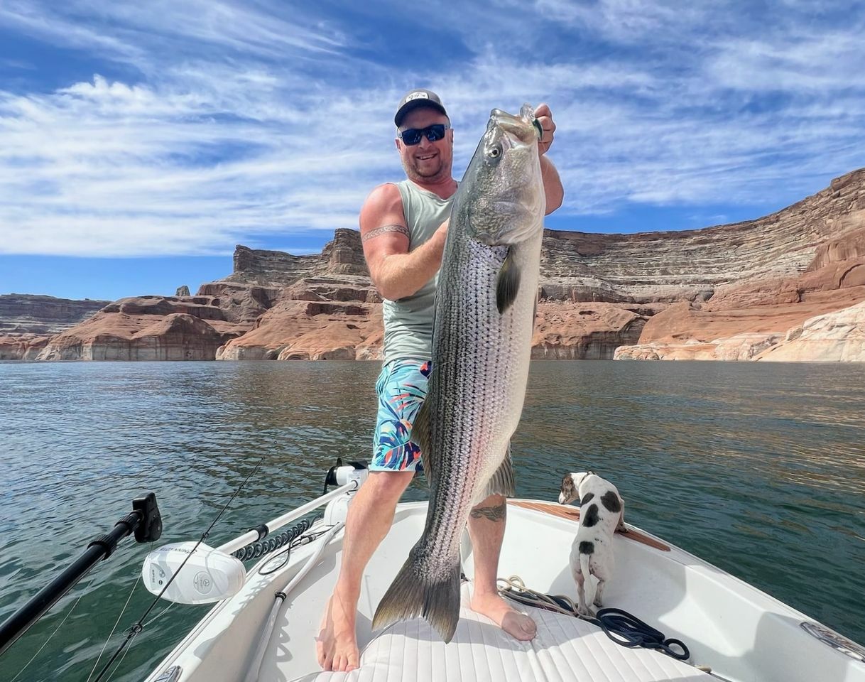 Lake Powell Fish Reports Map Lake Powell Fish Reports Map