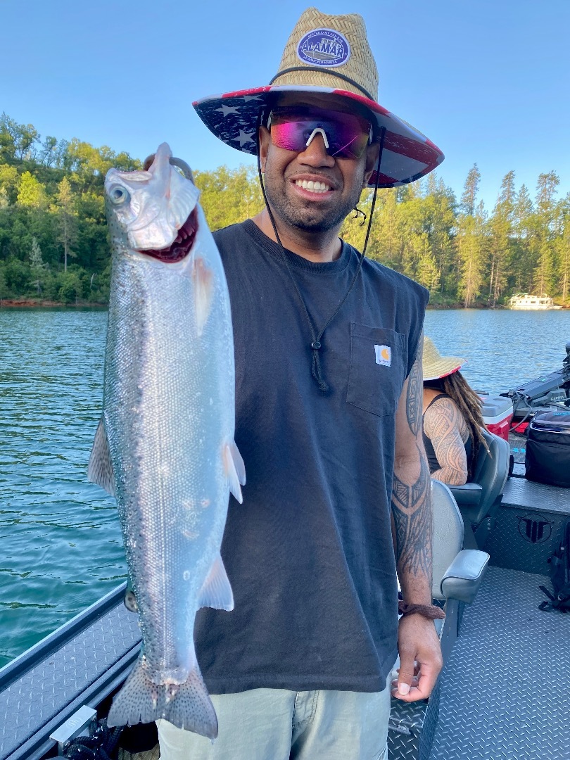 Shasta Lake trout report!