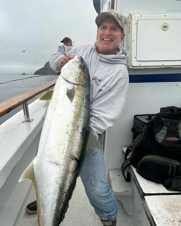 45 lb. Yellowtail to take over the leaderboard 