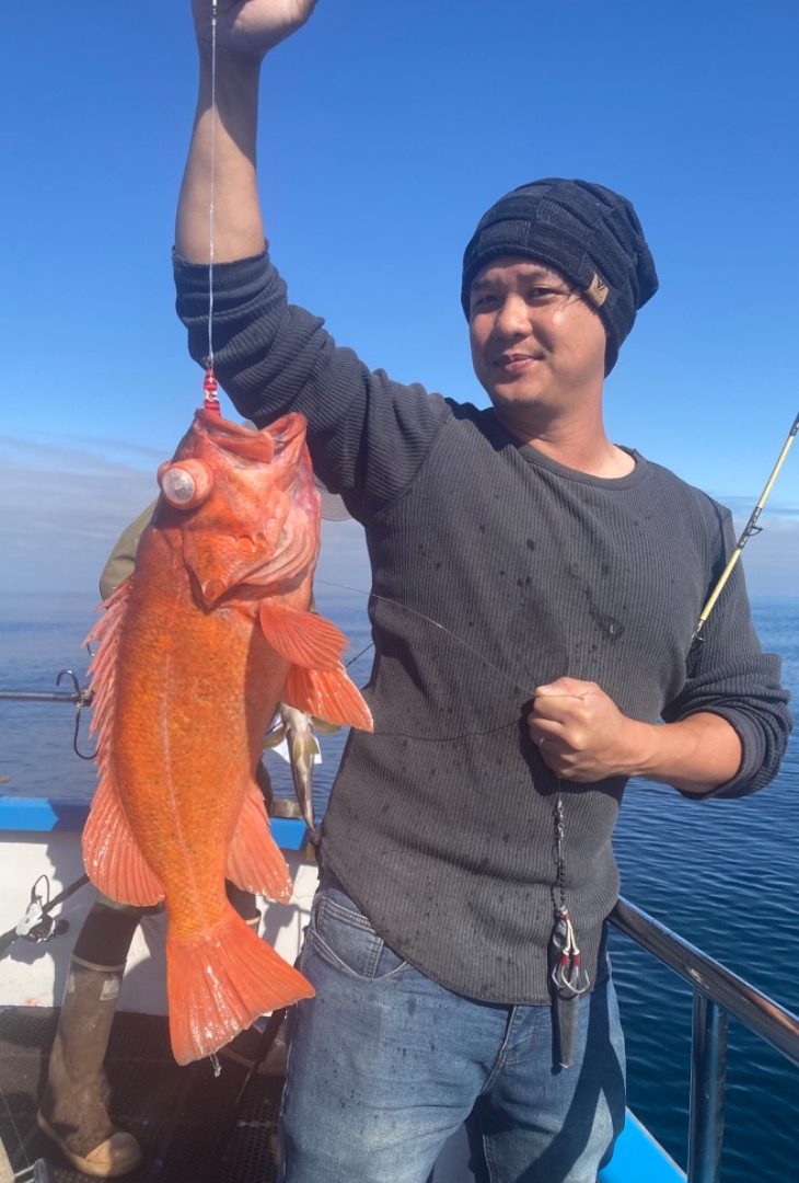 Pigeon point rock fishing 