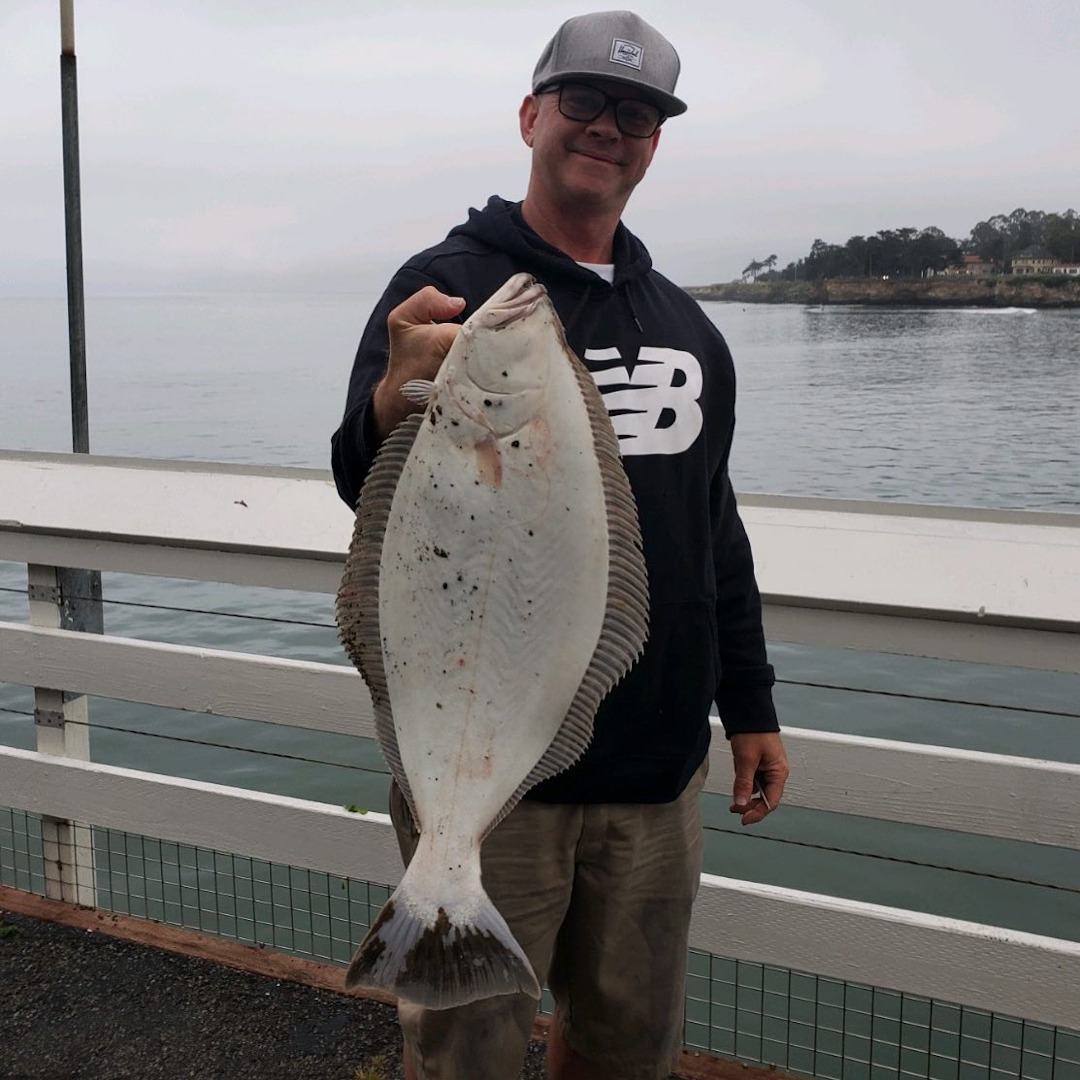 Fishing A Destroyed Pier LOADED With Fish! 