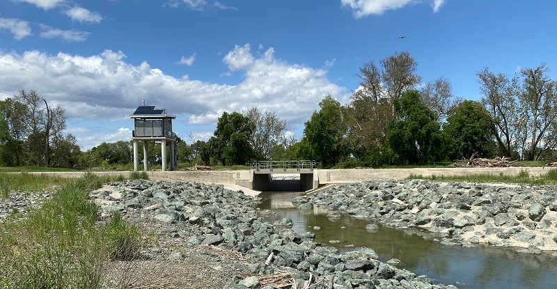 Improved Passage Lets Threatened Sturgeon, Salmon and Other Species Return to Spawn in Sacramento River cover picture
