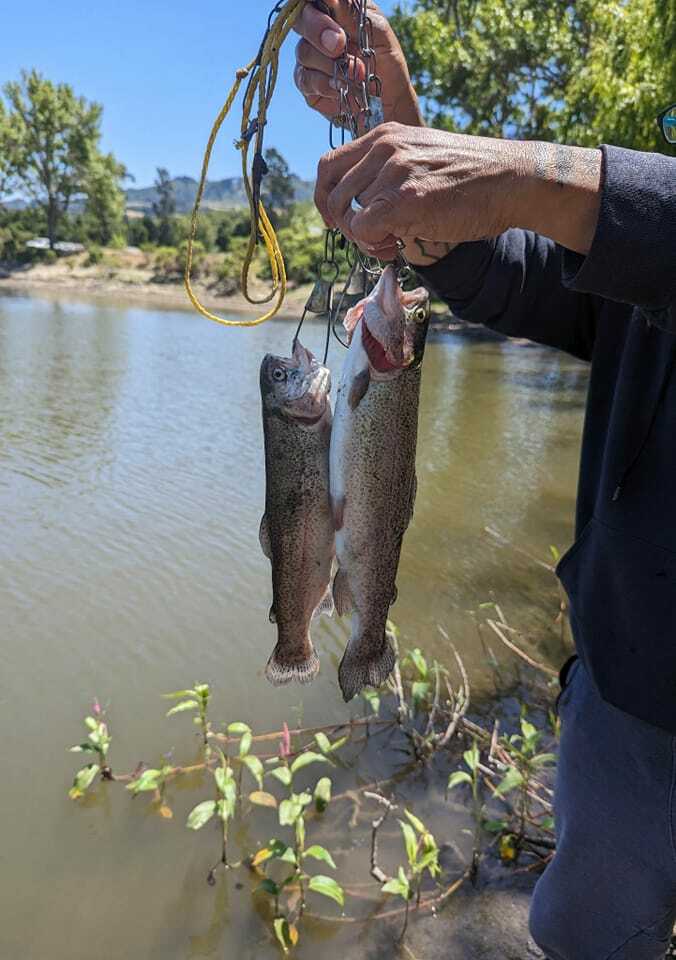 San Pablo Fishing Report