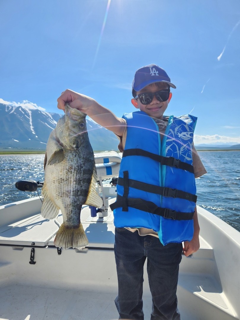 Crowley Lake Fish Report - Mammoth Lakes, CA (Mono County)