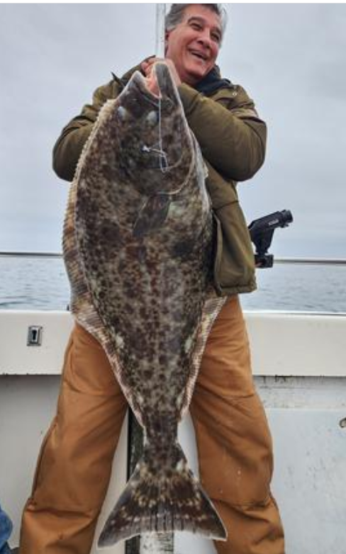 Pacific Halibut Fly Over the Rails