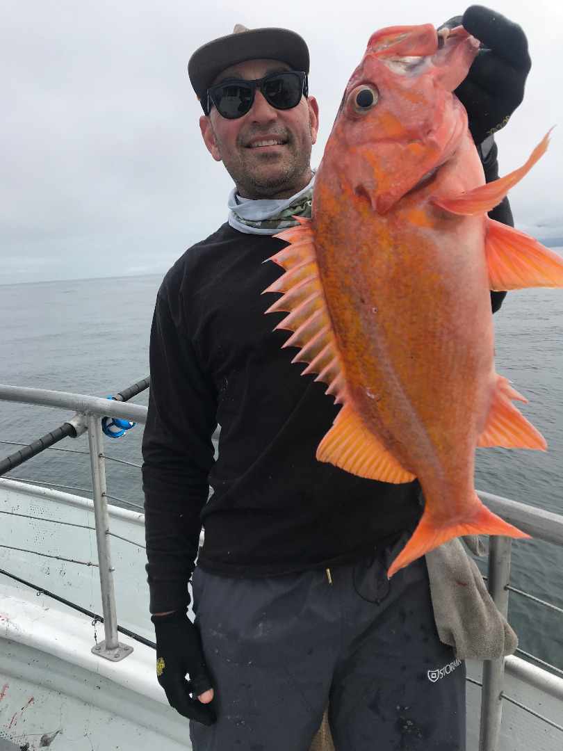 Fish Report - Fishing forecast: Good, and going to get better - June 30,  2023