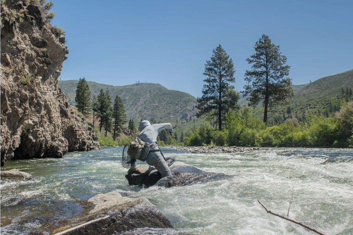 Truckee River Fly Fishing Report- March 13, 2024 - Truckee River