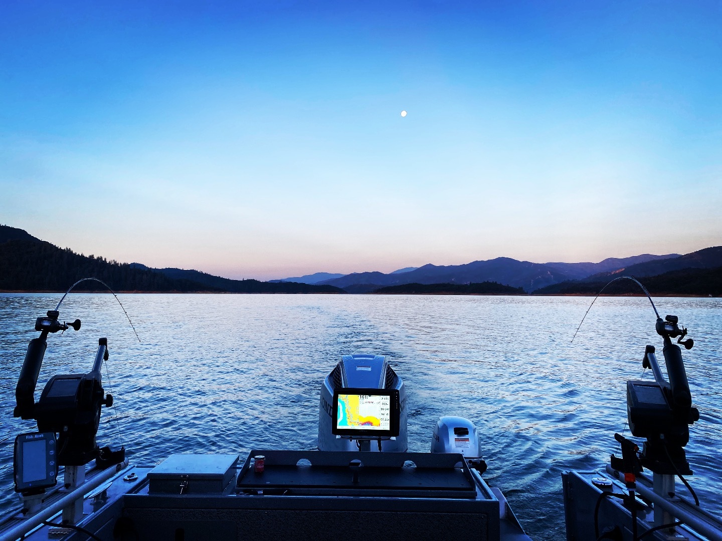 Shasta Lake Summer Trout