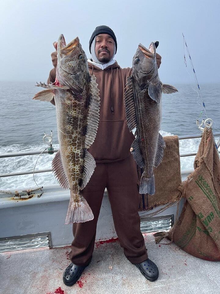 Limits of quality rockfish and good grade lingcod