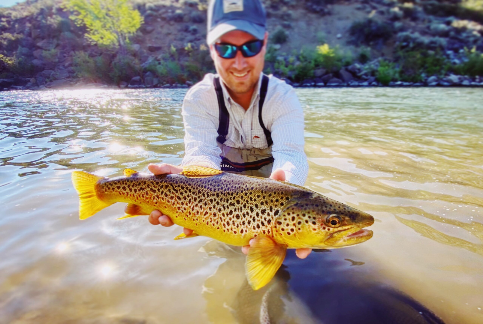 Truckee River Fish Report - Truckee River - Good solid fishing on the ...