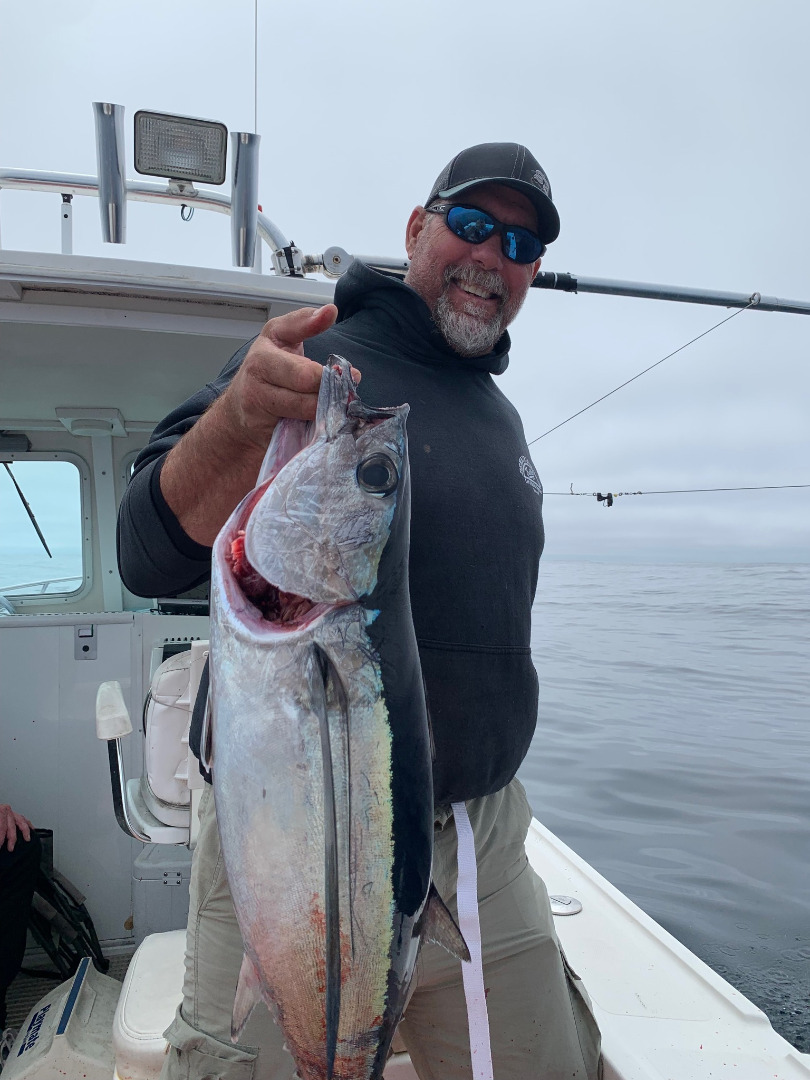 Weather limits anglers’ opportunities to score tuna cover picture