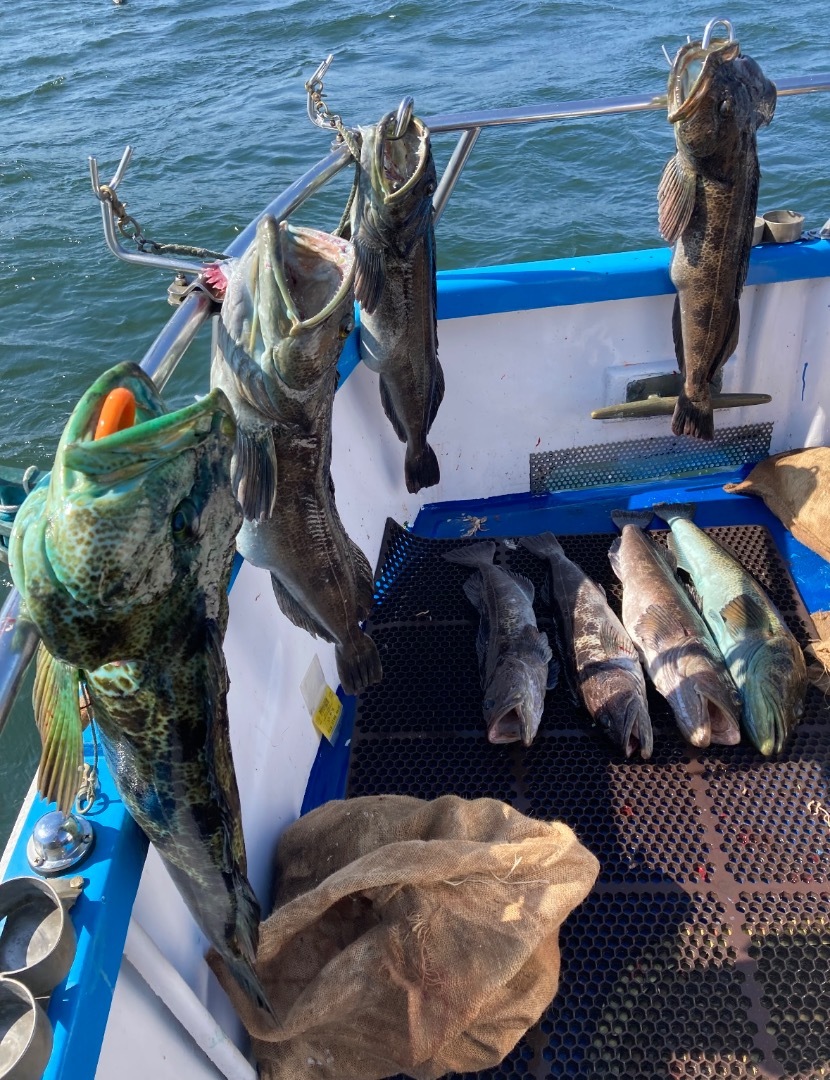 Shallow water rock fishing 