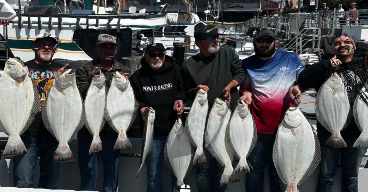 Today’s results limits of halibut, a couple bass