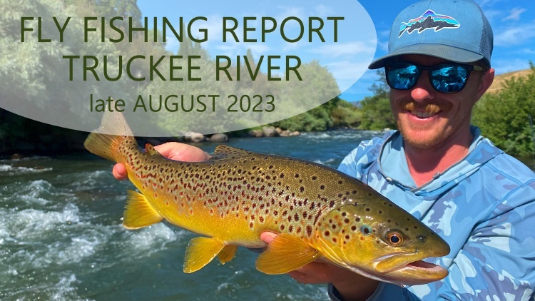 Truckee River Fish Report