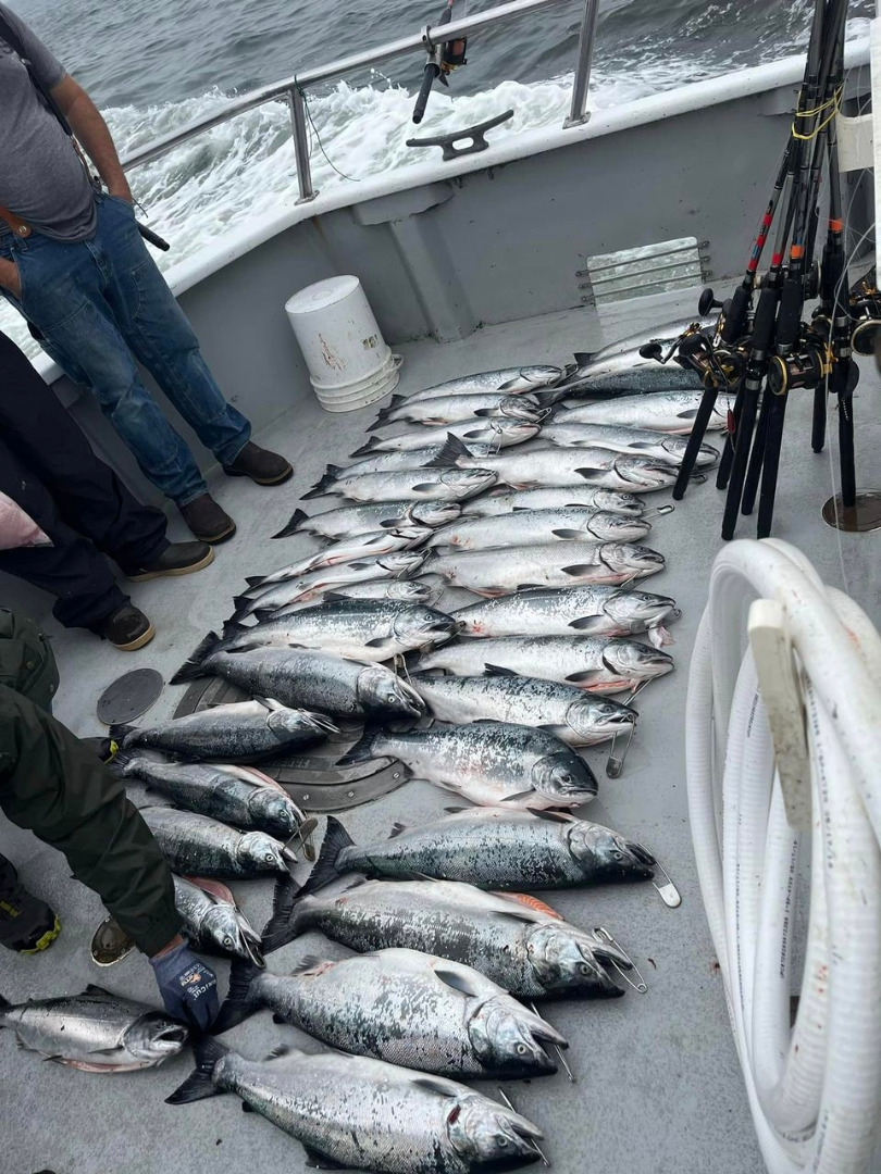 Limits of Silvers and Yellowtail Rockfish today