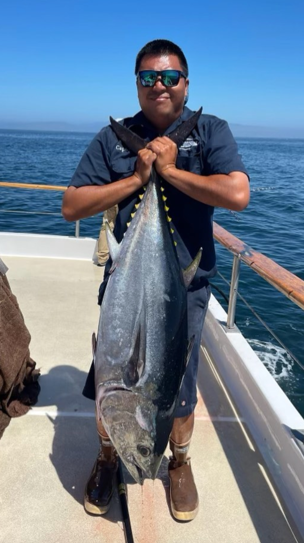 Nice Bluefin on the Southern Cal