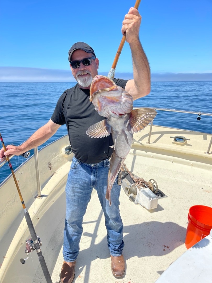 Wide open lingcod and rockfish