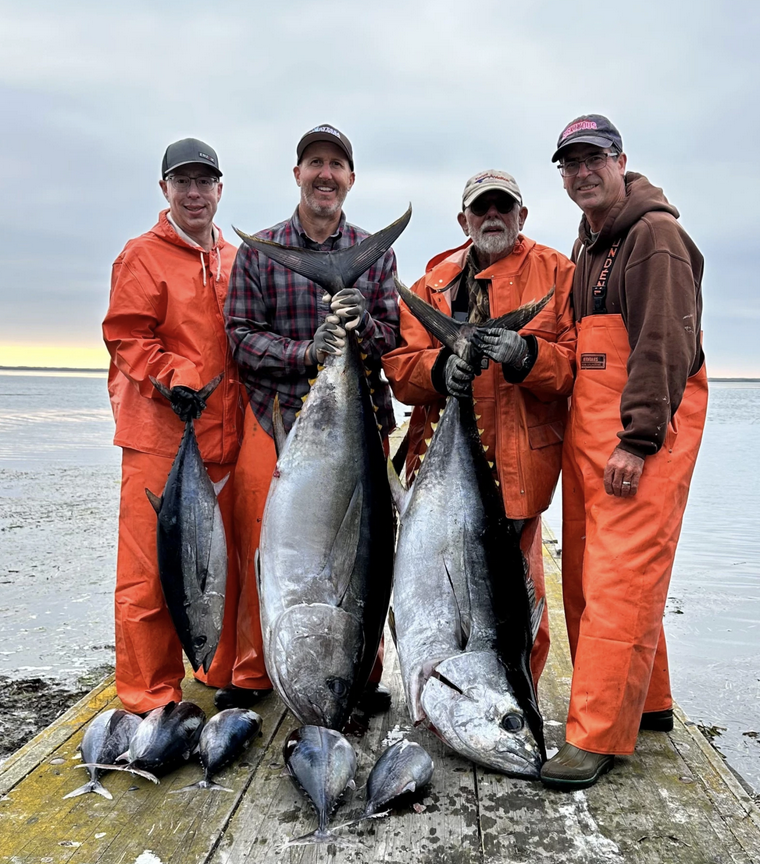 Boats Travel Far and Wide to Find Tuna