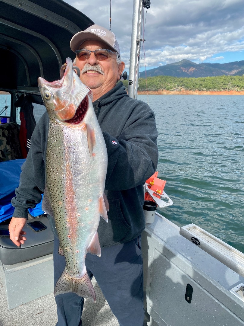 Shasta Lake Summer Trout and Salmon — Jeff Goodwin Fishing