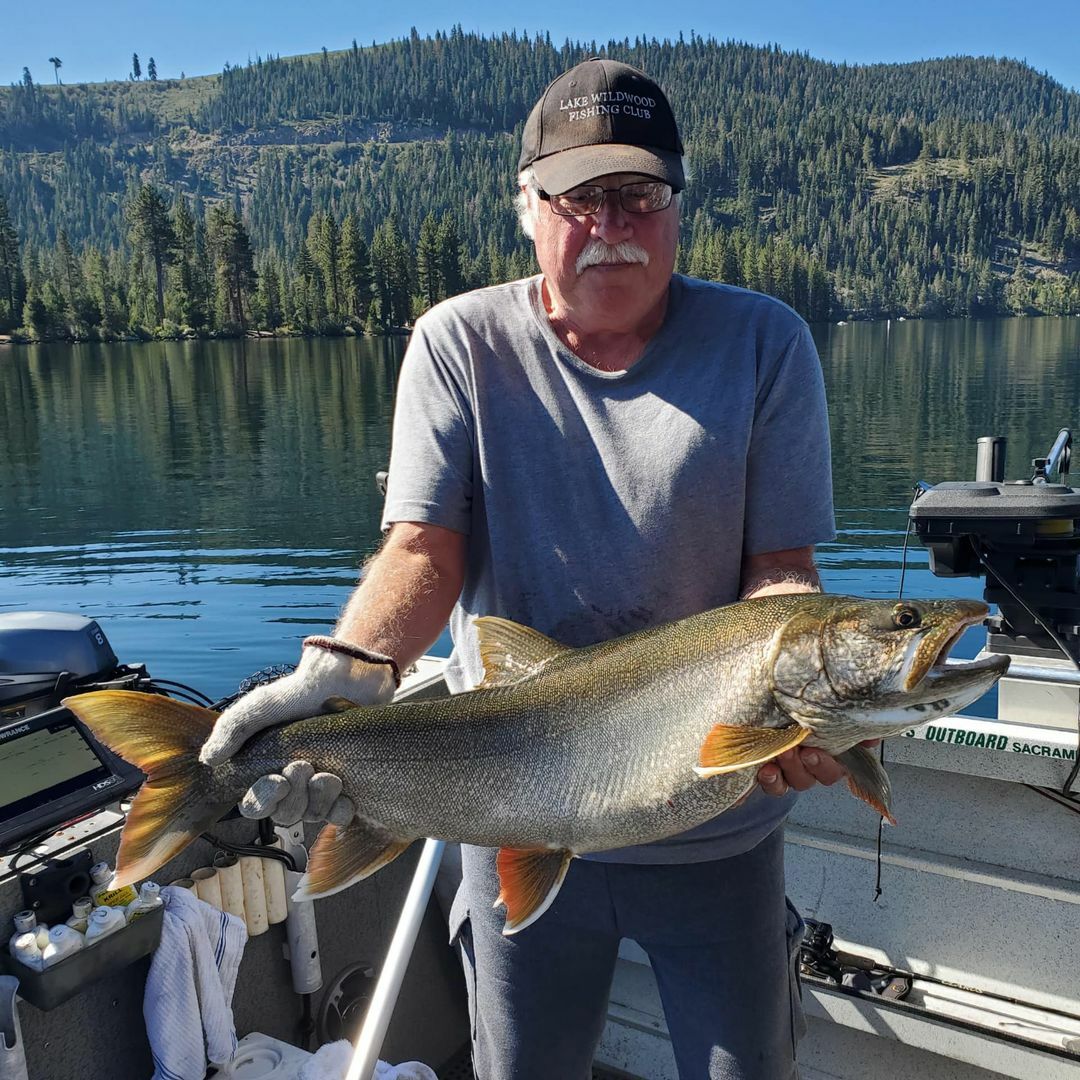 Donner Lake Fishing: Big Trout & Kokanee - Best Fishing in America