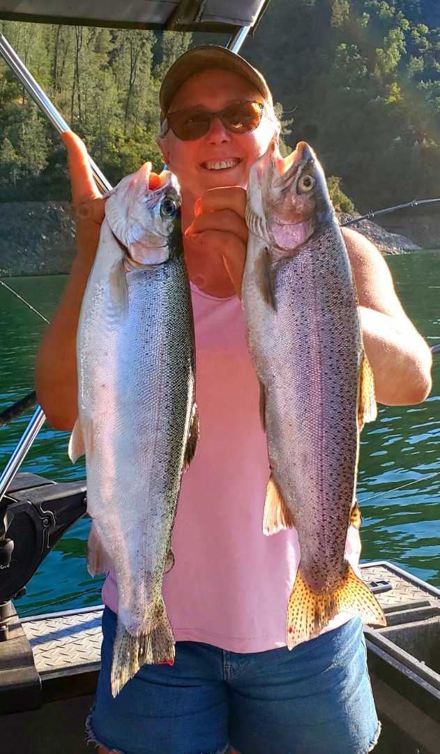 Fat Shasta Lake Rainbows are on the bite