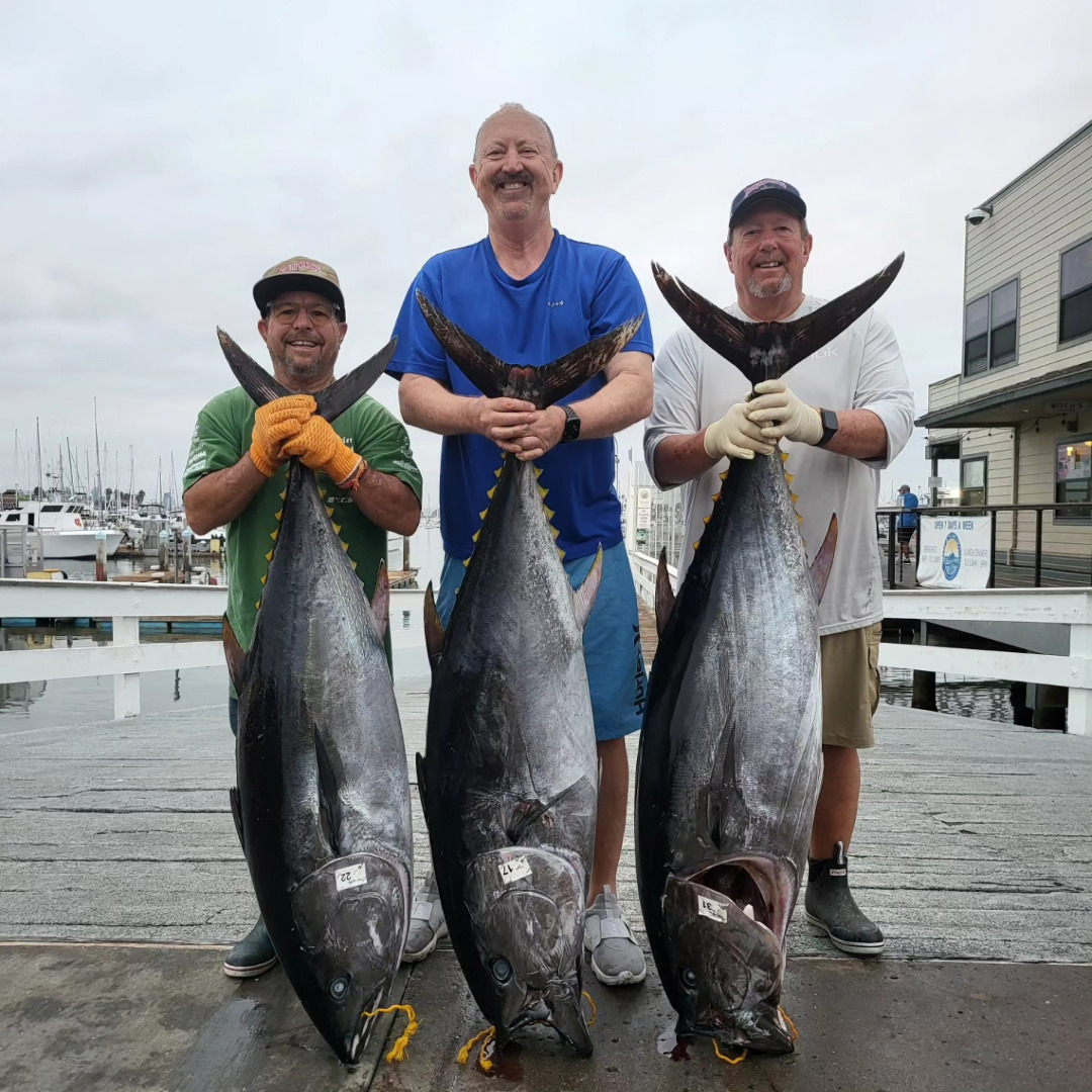 Independence Fish Report - TRIP 22-28 UNITED COMPOSITE/BUBBA