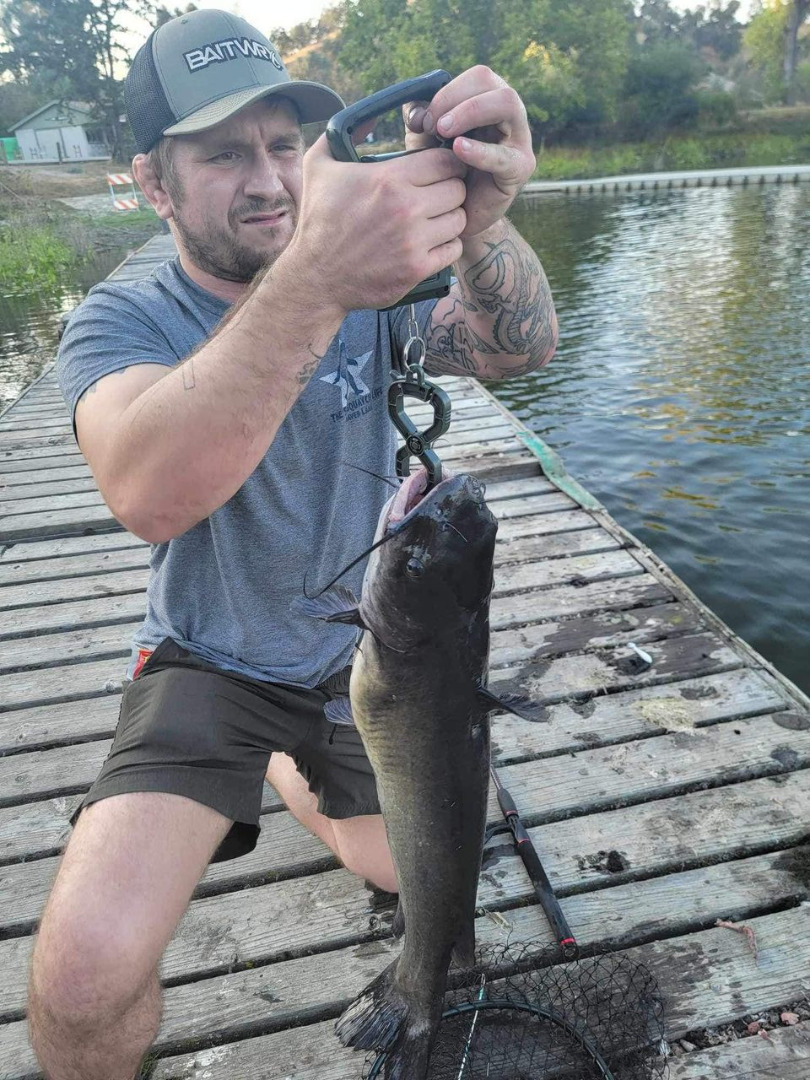 13 lb. Catfish 