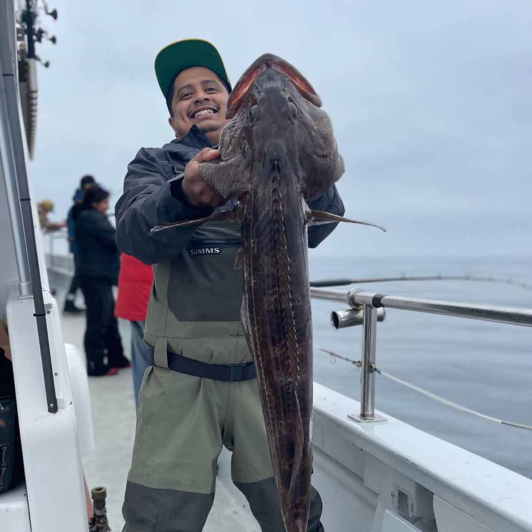 Lingcod Action Over the Weekend!