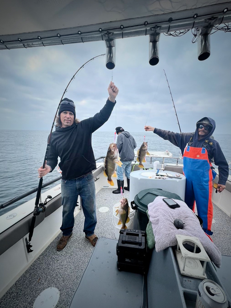  Anglers enjoy casting success until big swell hits cover picture