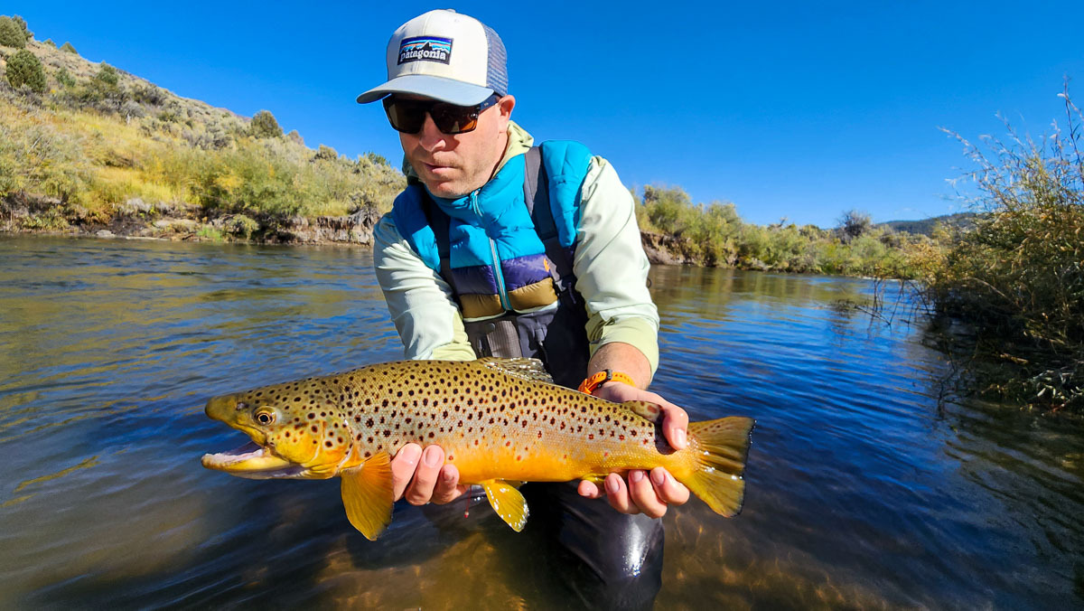 Eastern Sierra Fishing Report 12/15/22 - Sierra Drifters Guide Service