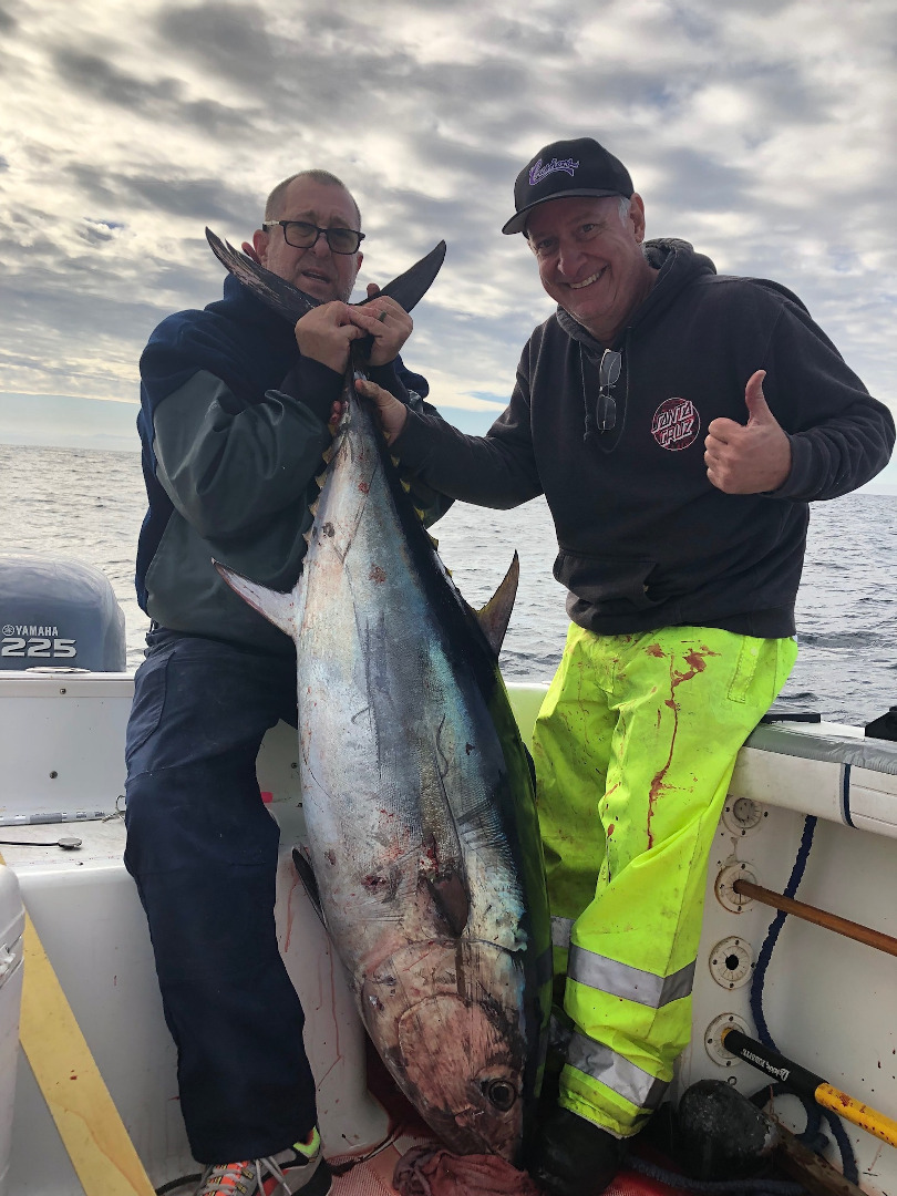  Dedicated anglers haul in bluefin tuna at Davenport Fingers cover picture