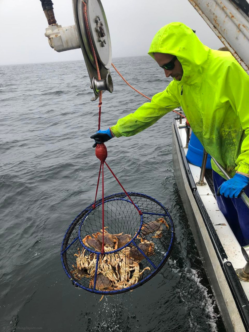 Outstanding opening weekend for the Dungeness Crab & Rockfish season