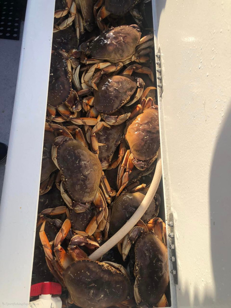 Fishing and crabbing continue to score big! 