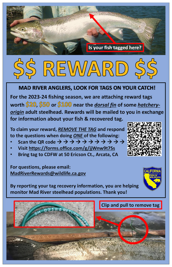 Mad River Steelhead Reward Program