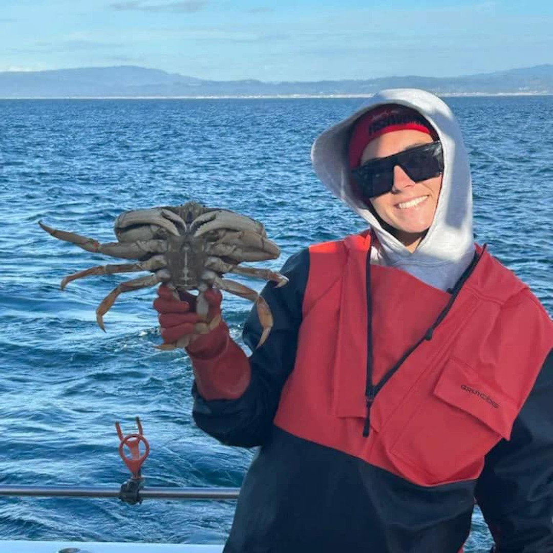 Dungeness crab anglers enjoying success using hoop nets, crab snares cover picture
