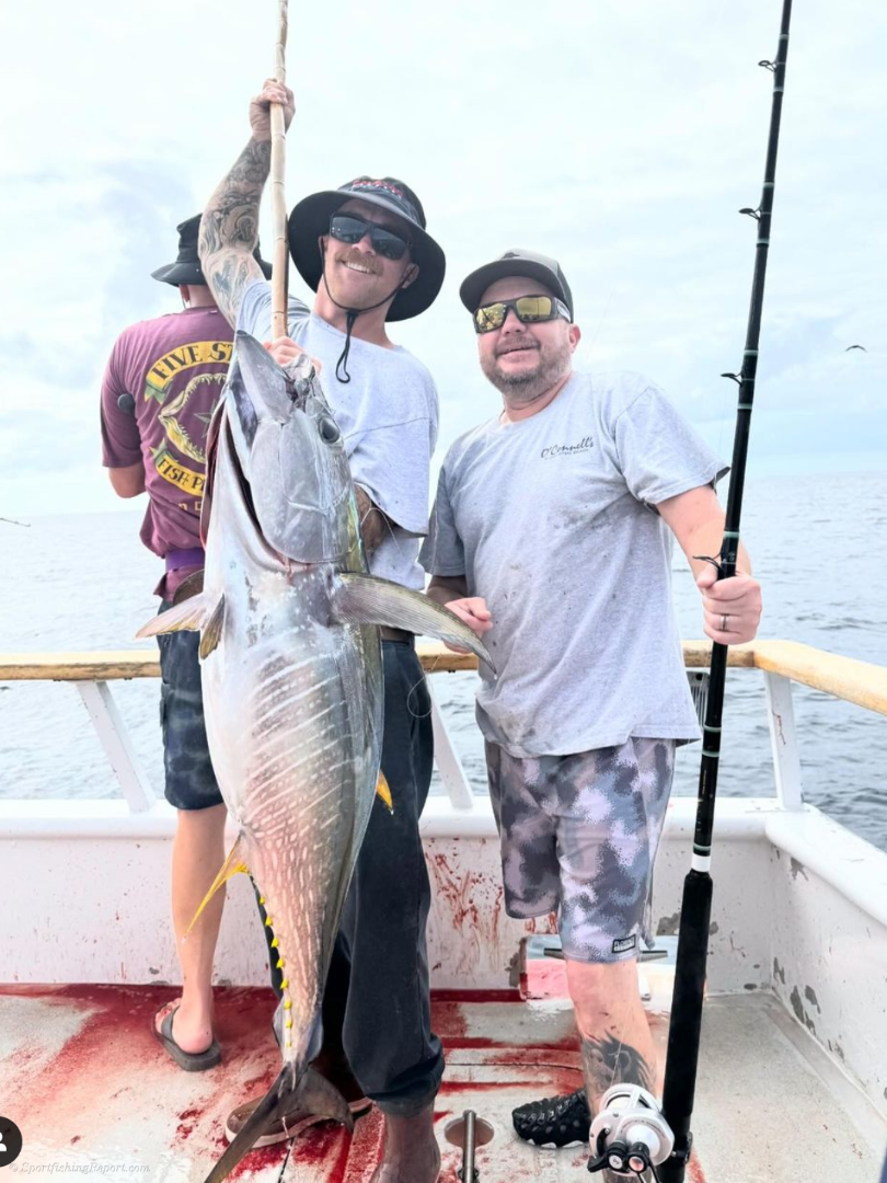 Handline for Yellowfin Tuna Fishing Colouring Book