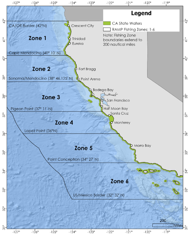 CDFW Continues Partial Recreational Crab Trap Restriction and Delays Commercial Dungeness Crab Fishery Due to Entanglement Risk cover picture