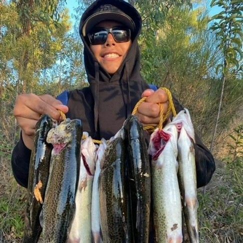 Anglers bass fishing siskiyou - Gem