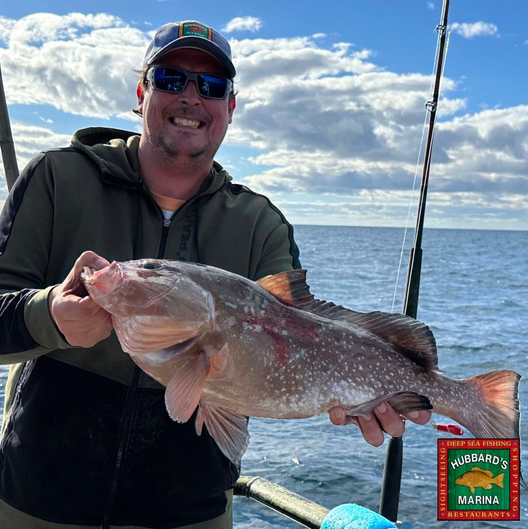 Red Grouper season is here!