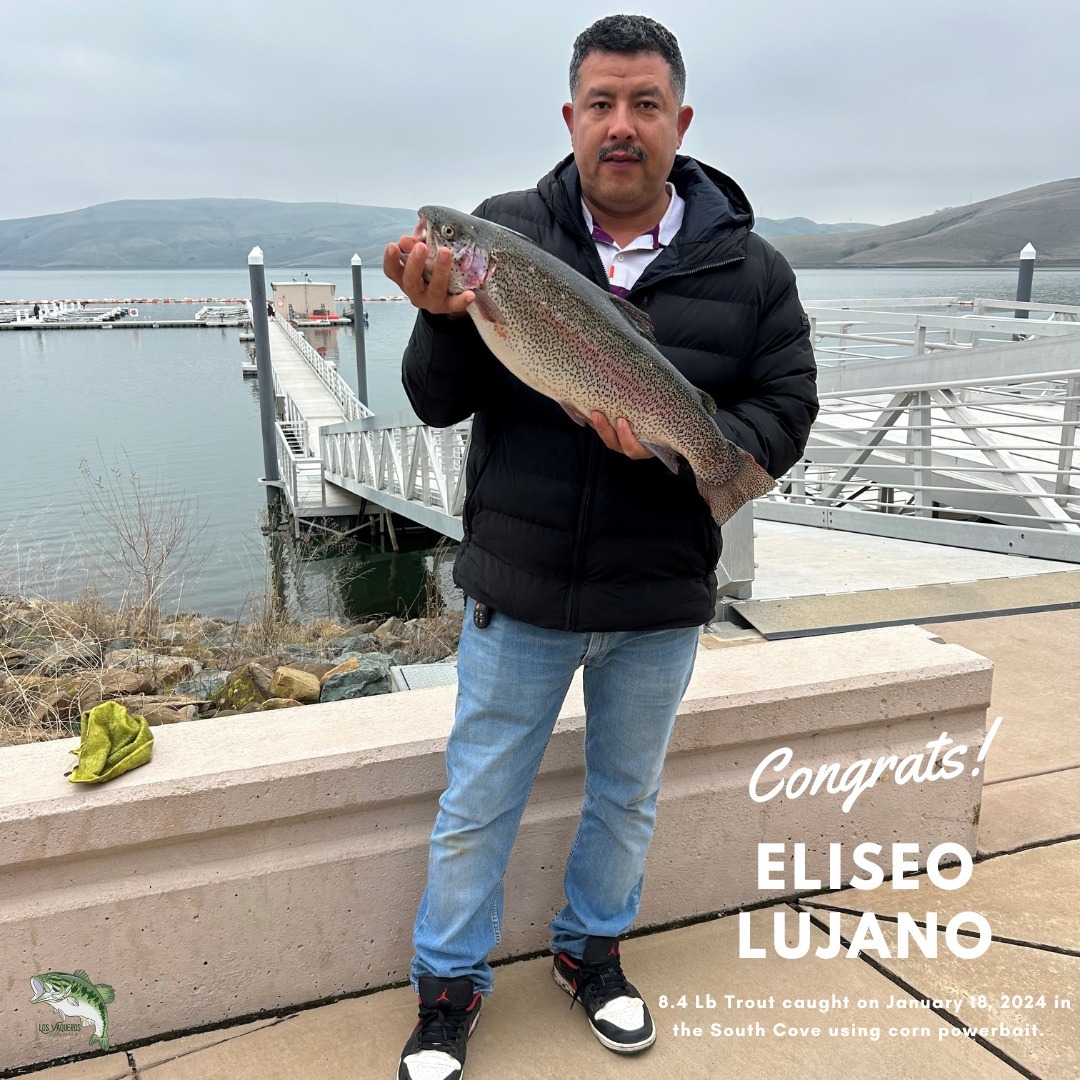 Los Vaqueros Reservoir Fish Report - Los Vaqueros Reservoir - 8.4 Lb.  Rainbow - January 18, 2024